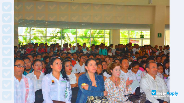 Technology University of Selva photo #2