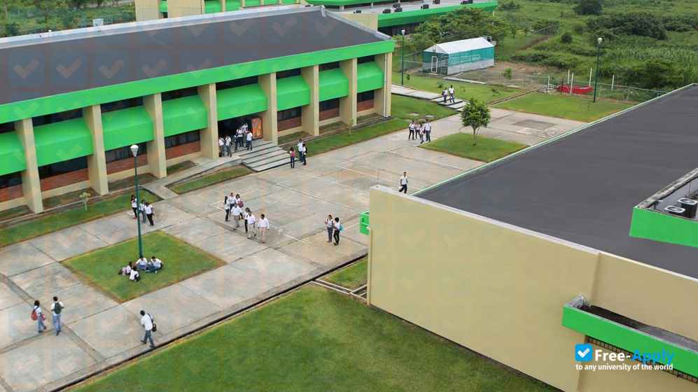 Technology University of Selva photo #11