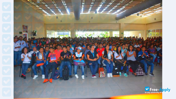 Technology University of Selva photo #4