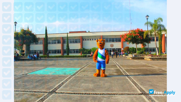 Technical University of Morelia photo #4