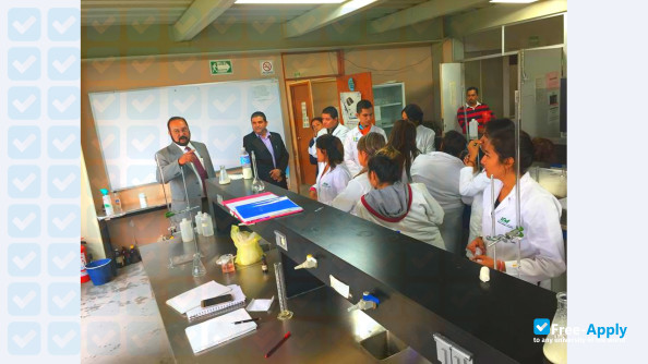 Technical University of Morelia photo #10
