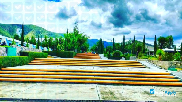 Technical University of Tecamachalco photo #7