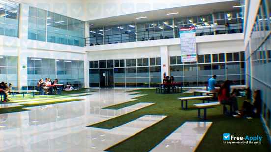 University Center for Marketing and Advertising фотография №2
