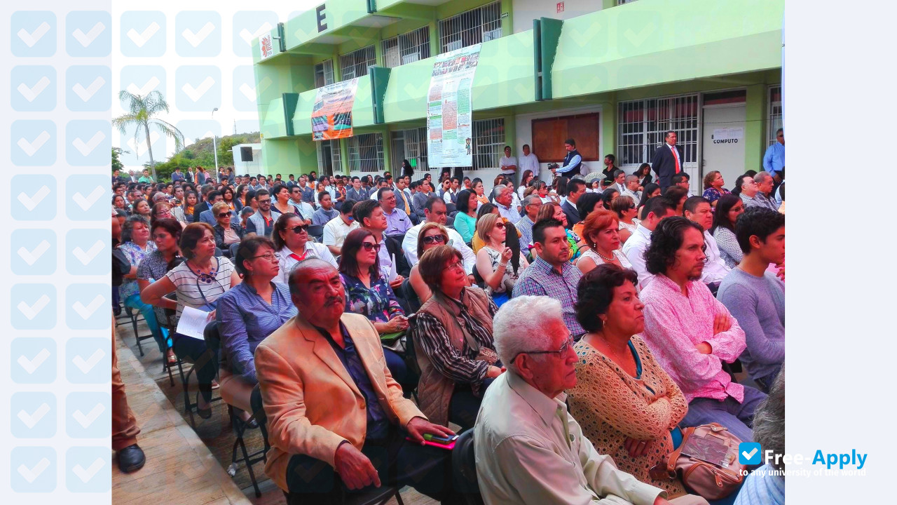 School Normal Superior Veracruzana Dr Manuel Suárez Trujillo photo #6