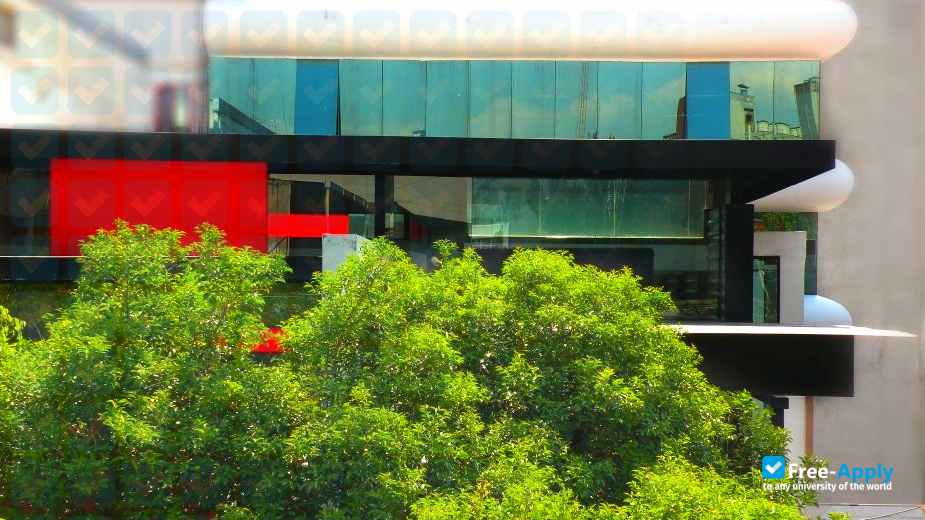 Leonardo Bravo Institute photo #12