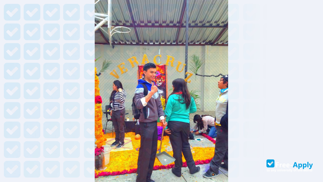 Leonardo Bravo Institute photo #13