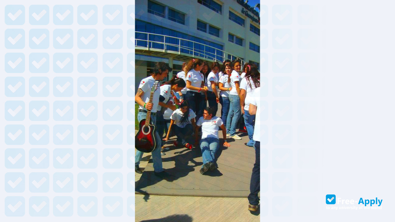 ICON University photo #13