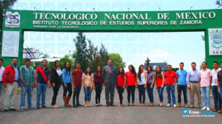 Technological Institute of Higher Studies of Zamora vignette #1