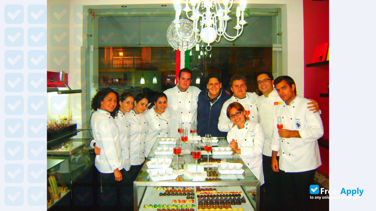 University Center for Advanced Studies of San Angel photo #10