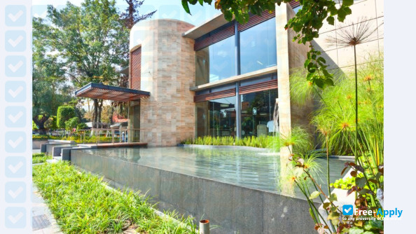 University Center for Advanced Studies of San Angel photo #8