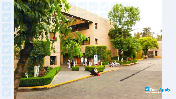 University Center for Advanced Studies of San Angel photo #3