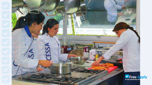 University Center for Advanced Studies of San Angel photo #5