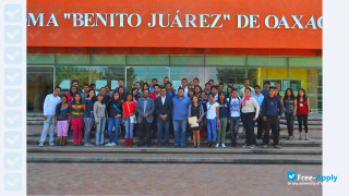 University Benito Juarez миниатюра №6