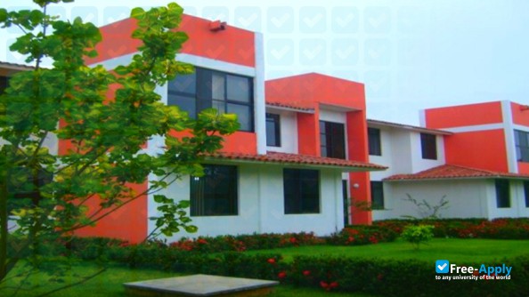 Universidad del Papaloapan photo #5
