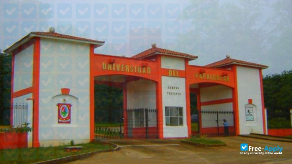 Universidad del Papaloapan photo #4