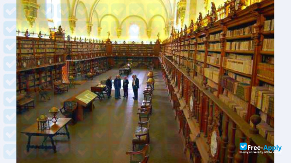 Universidad del Papaloapan photo