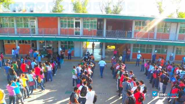 Technological Institute of Higher Studies of the Carboniferous Region photo #1