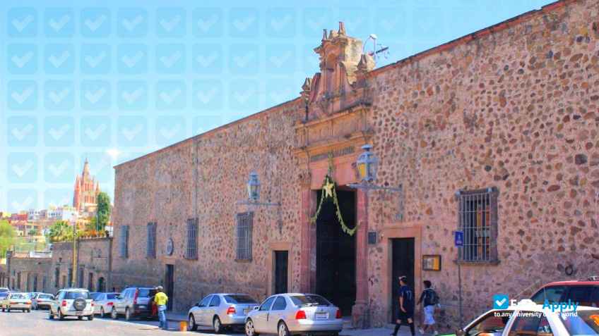 Instituto Allende photo #10