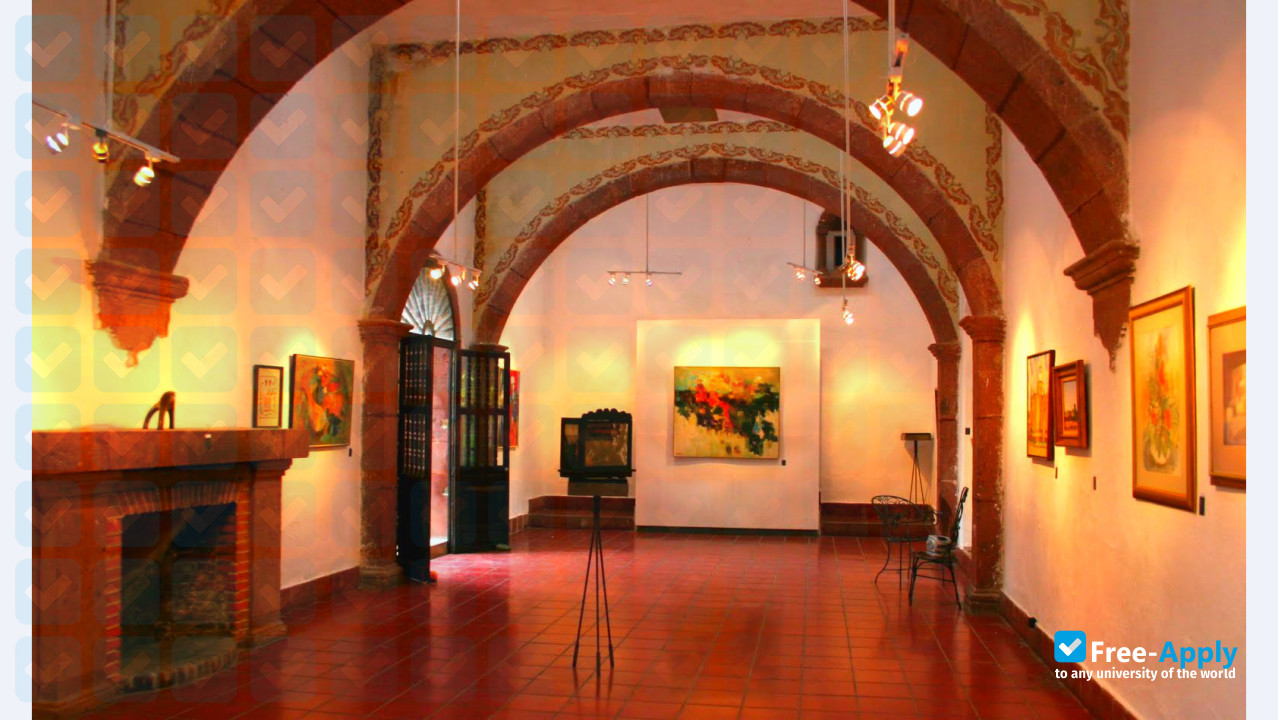 Instituto Allende photo #9