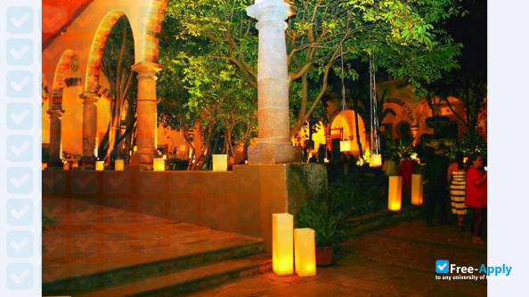 Instituto Allende photo #5