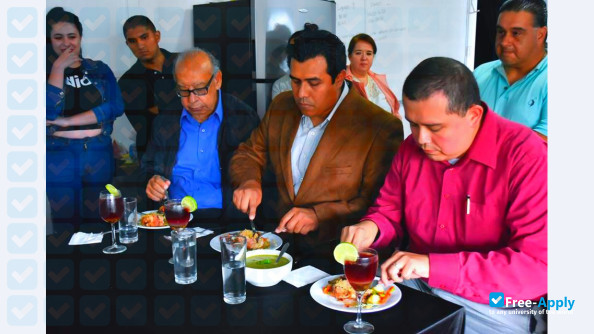 Tajin University of Xalapa photo #12