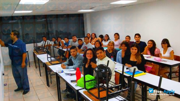 Technology University of Cancun фотография №11