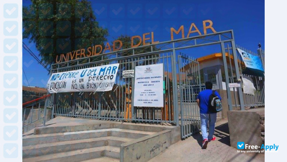 Universidad del Mar фотография №5