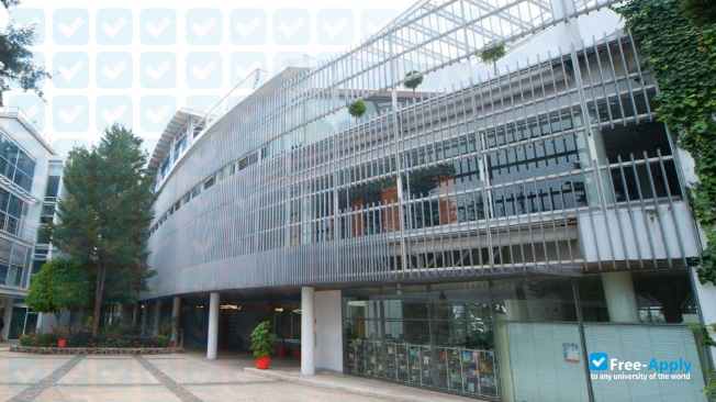 Center for Economic Research and Teaching photo #4