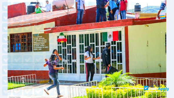Luis Donaldo Colosio Murrieta University Center photo #4