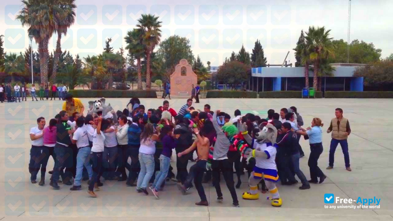 Photo de l’University of Aguascalientes #6