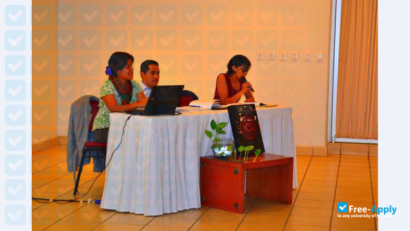 Technological University of the Mixteca photo