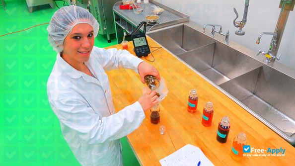 Higher Institute of Technology Training in Food Technology photo #7
