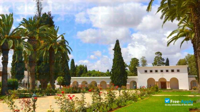 National School of Agriculture of Meknes фотография №1