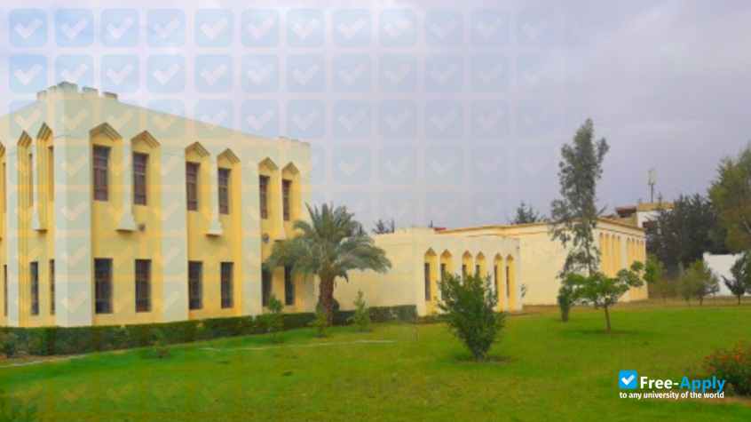 University Moulay Ismail National School of Arts and Crafts Meknes photo #6