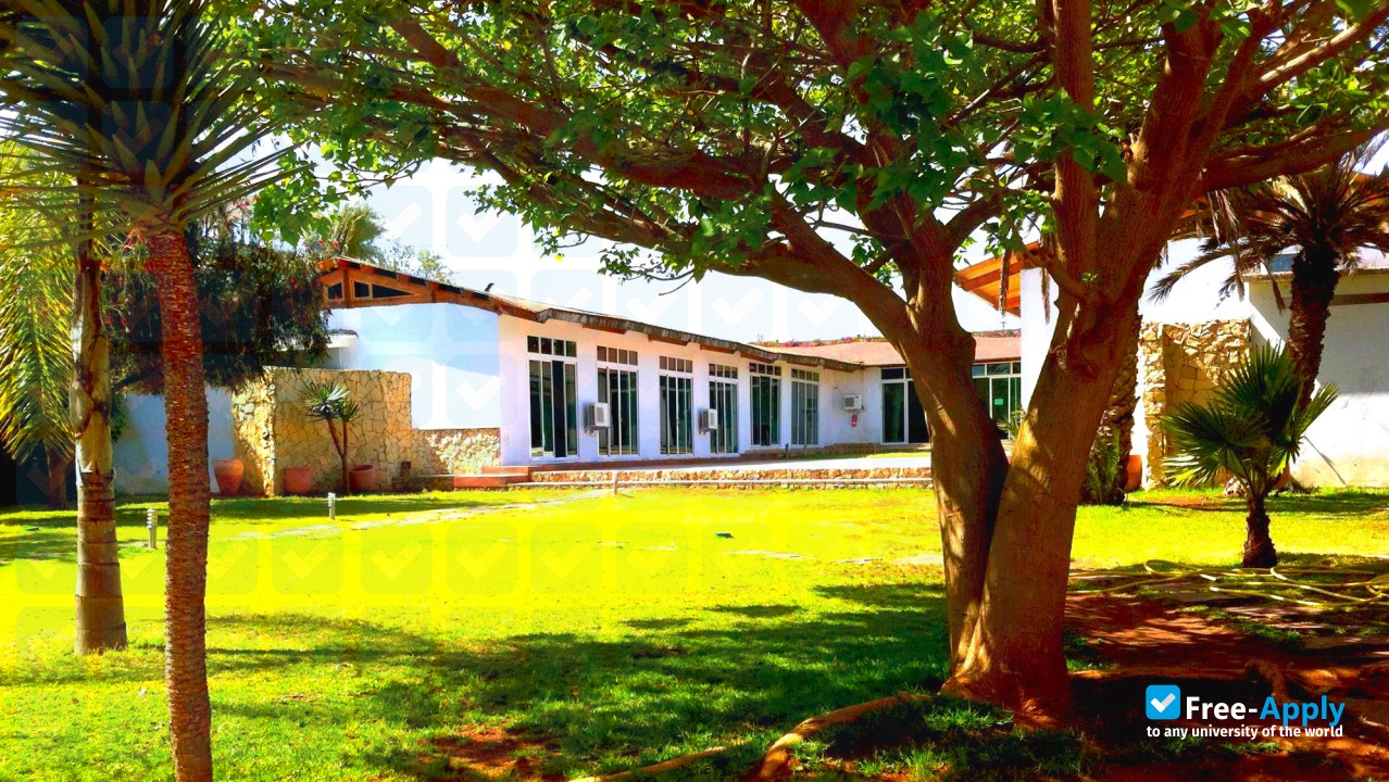 Foto de la Higher School of Interior Architecture #6