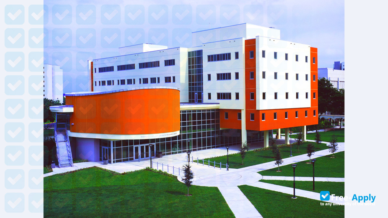 International University of Management фотография №7