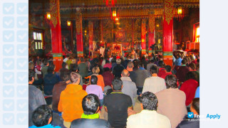 Rangjung Yeshe Institute (Kathmandu University Centre for Buddhist Studies) thumbnail #1
