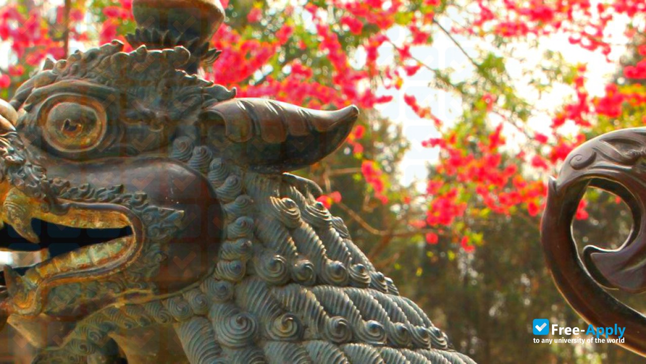 Foto de la Rangjung Yeshe Institute (Kathmandu University Centre for Buddhist Studies) #5