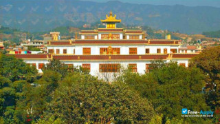 Rangjung Yeshe Institute (Kathmandu University Centre for Buddhist Studies) thumbnail #7