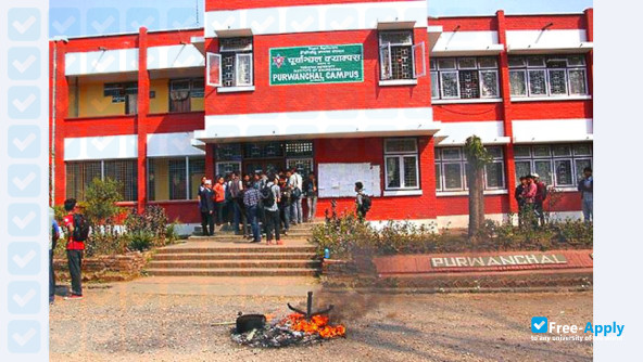 Purbanchal University photo #6