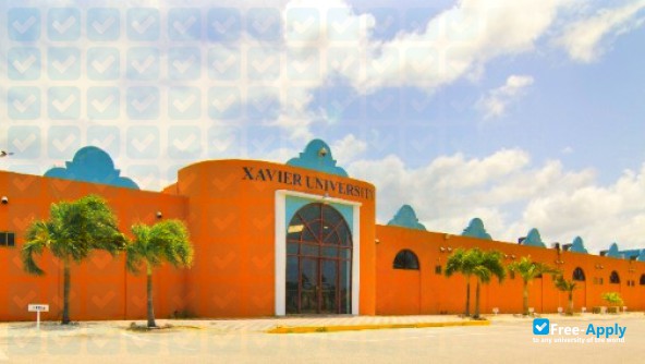 Foto de la Xavier University School of Medicine #3
