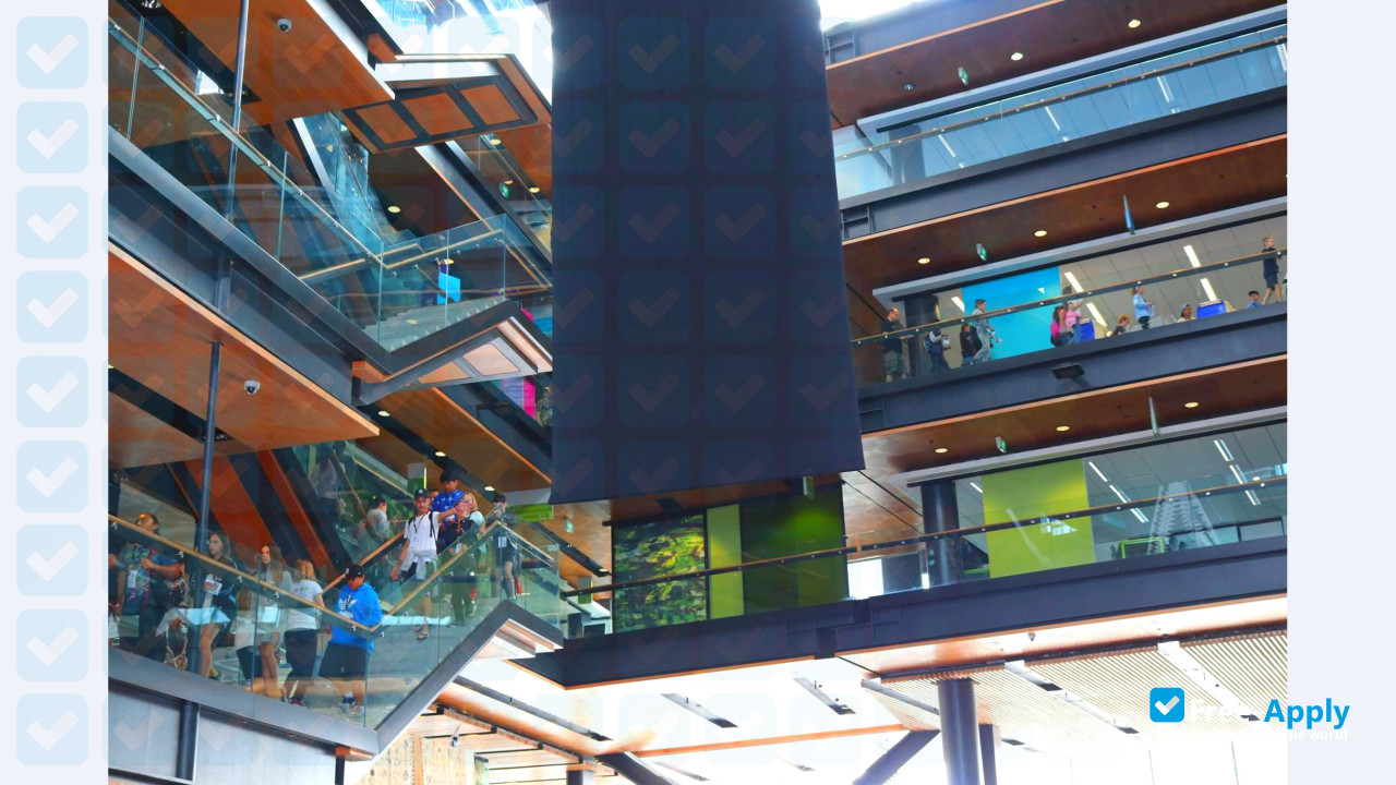 Manukau Institute of Technology photo #5