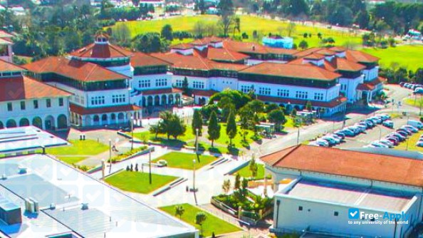 Massey University photo #19