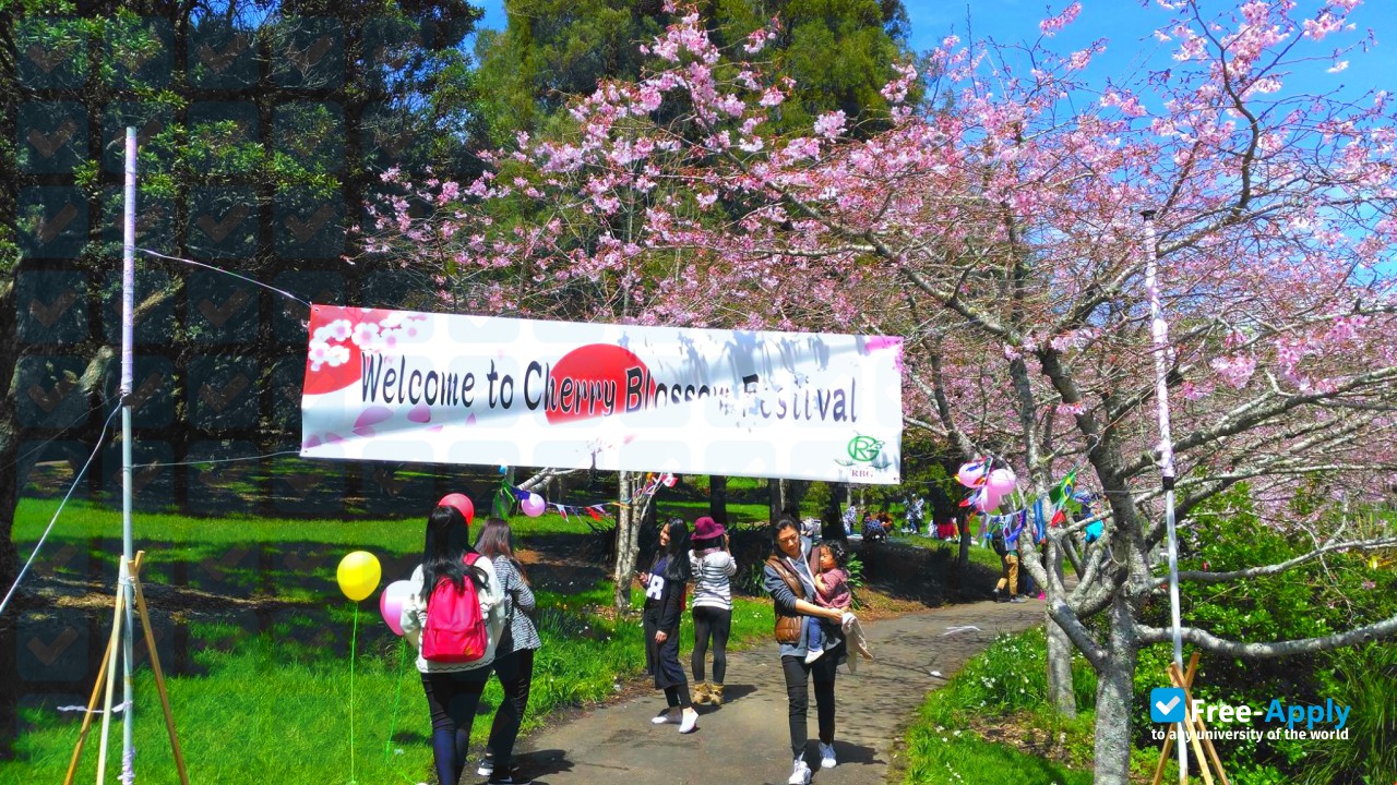 New Zealand Institute of Studies photo #6