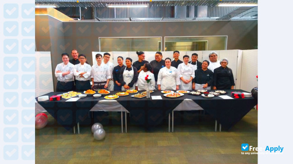 New Zealand Management Academies (NZMA) photo #11
