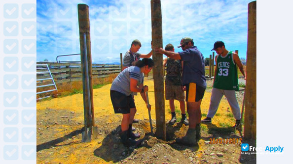 Taratahi Agricultural Training Centre photo #25