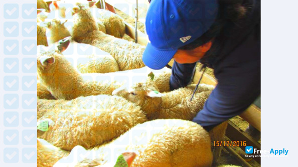 Taratahi Agricultural Training Centre photo #17