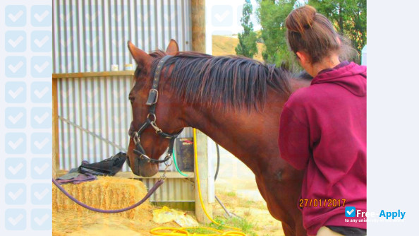 Taratahi Agricultural Training Centre photo #19