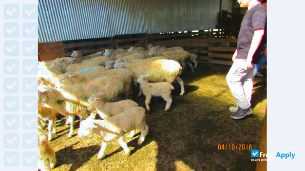 Taratahi Agricultural Training Centre photo #12