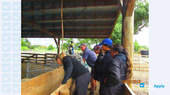 Taratahi Agricultural Training Centre photo #20